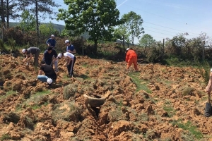 Hatıra Ormanımızda Fidan Dikim Organizasyonu