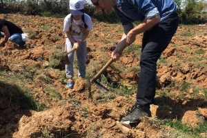 Hatıra Ormanımızda Fidan Dikim Organizasyonu