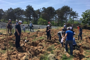 Hatıra Ormanımızda Fidan Dikim Organizasyonu