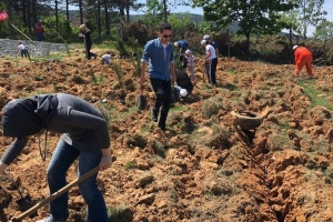 Hatıra Ormanımızda Fidan Dikim Organizasyonu